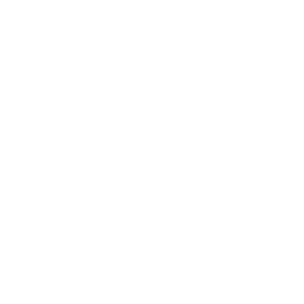logo light